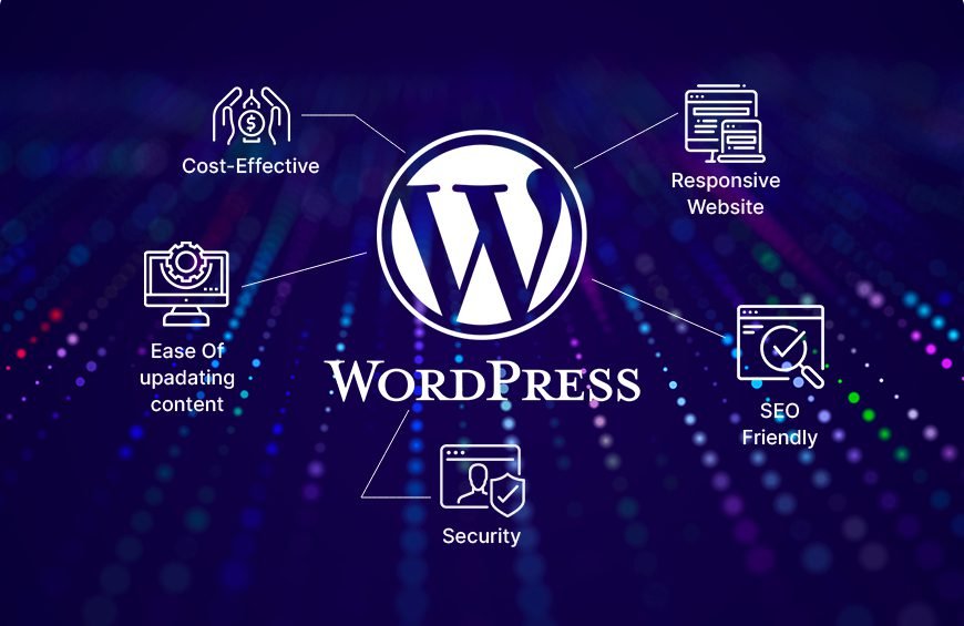 a wordpress web developer